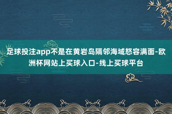 足球投注app不是在黄岩岛隔邻海域怒容满面-欧洲杯网站上买球入口-线上买球平台