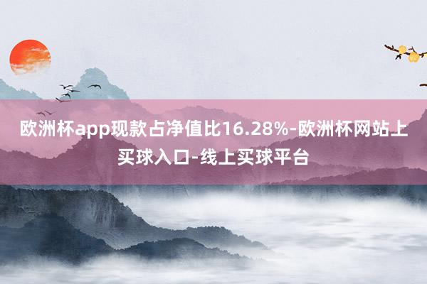 欧洲杯app现款占净值比16.28%-欧洲杯网站上买球入口-线上买球平台