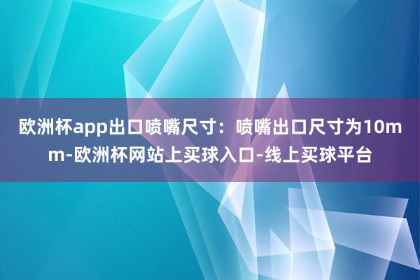 欧洲杯app出口喷嘴尺寸：喷嘴出口尺寸为10mm-欧洲杯网站上买球入口-线上买球平台