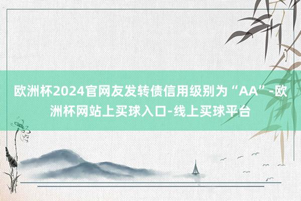 欧洲杯2024官网友发转债信用级别为“AA”-欧洲杯网站上买球入口-线上买球平台