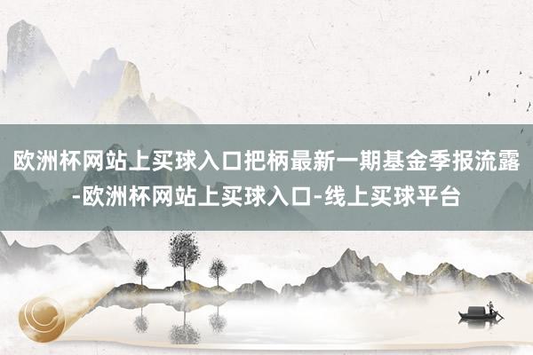 欧洲杯网站上买球入口把柄最新一期基金季报流露-欧洲杯网站上买球入口-线上买球平台