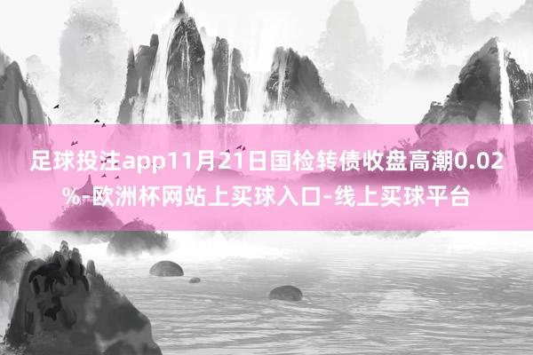 足球投注app11月21日国检转债收盘高潮0.02%-欧洲杯网站上买球入口-线上买球平台