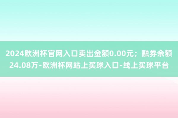 2024欧洲杯官网入口卖出金额0.00元；融券余额24.08万-欧洲杯网站上买球入口-线上买球平台