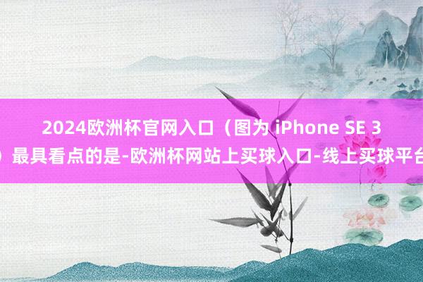 2024欧洲杯官网入口（图为 iPhone SE 3）最具看点的是-欧洲杯网站上买球入口-线上买球平台