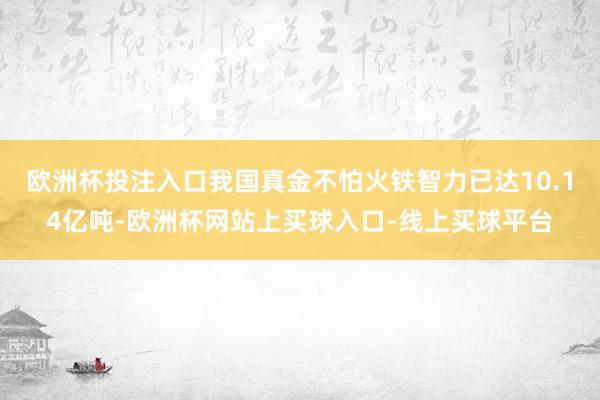 欧洲杯投注入口我国真金不怕火铁智力已达10.14亿吨-欧洲杯网站上买球入口-线上买球平台