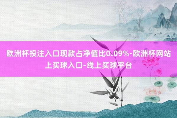 欧洲杯投注入口现款占净值比0.09%-欧洲杯网站上买球入口-线上买球平台